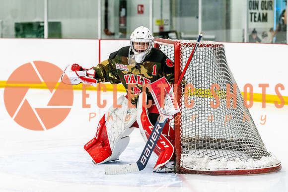 2022.11.11ShPkFlyers-VWGiants-3315