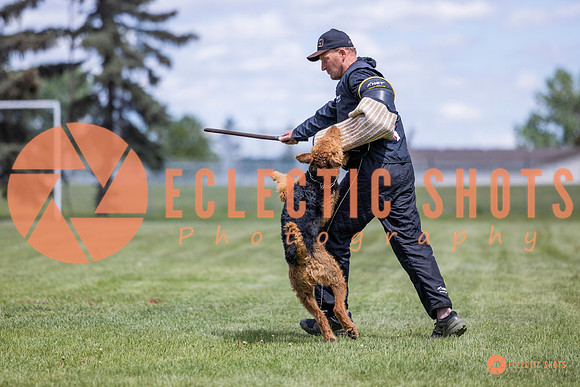 2025-K9Force-MayExams-7805