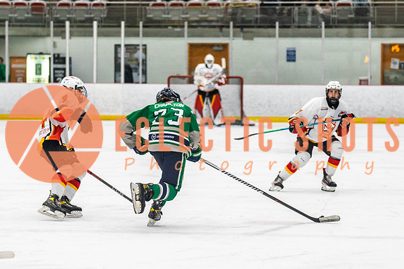 2022.11.09CalFlames-FVTBirds-0349