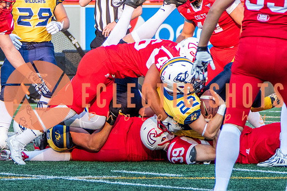 CalgaryColts-2581