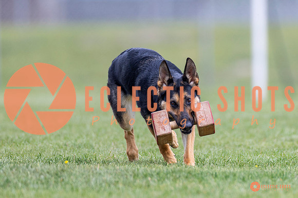 2025-K9Force-MayExams-7063