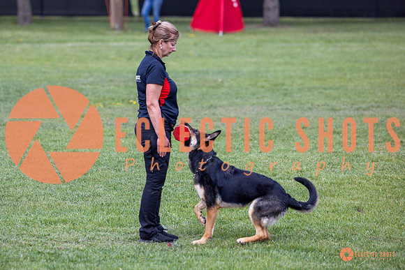2025-K9Force-MayExams-6276
