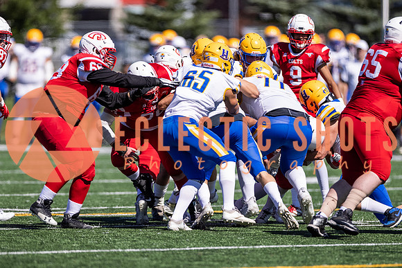 CalgaryColts2021-6241