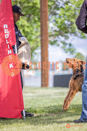 2025-K9Force-MayExams-7768