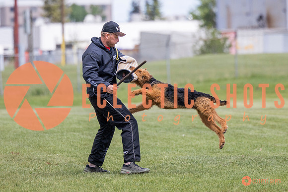 2025-K9Force-MayExams-7851