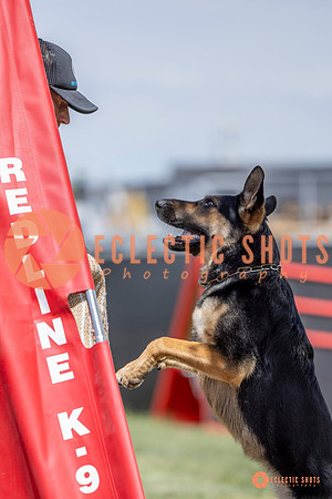 2025-K9Force-MayExams-7188