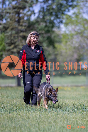 2025-K9Force-MayExams-Kaia-7537