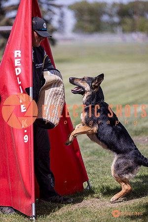 2025-K9Force-MayExams-7177