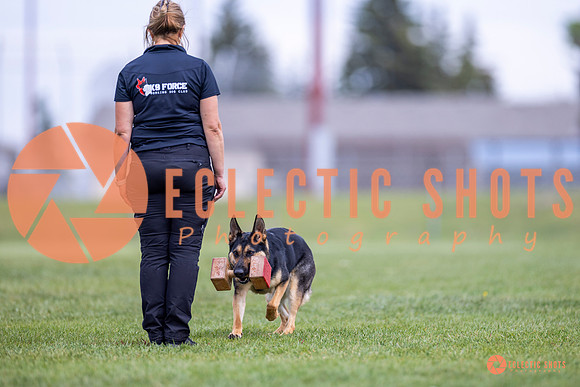 2025-K9Force-MayExams-7101