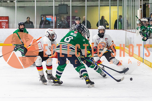 2022.11.09CalFlames-FVTBirds-0375