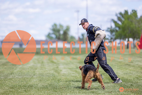 2025-K9Force-MayExams-7789