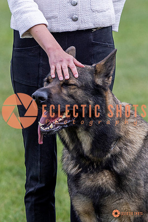 2025-K9Force-MayExams-5398