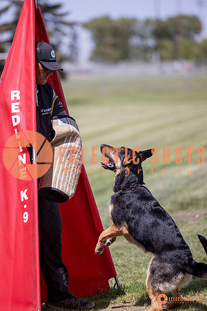 2025-K9Force-MayExams-7161