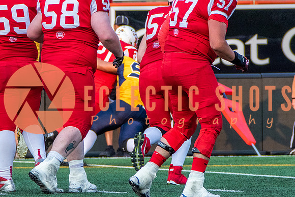 CalgaryColts-2683