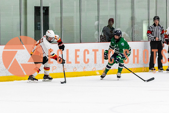 2022.11.09CalFlames-FVTBirds-0325