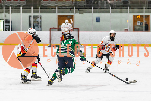 2022.11.09CalFlames-FVTBirds-0350