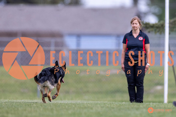 2025-K9Force-MayExams-7024