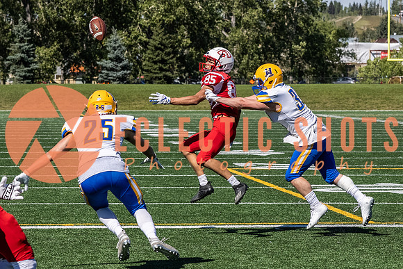 CalgaryColts2021-7597