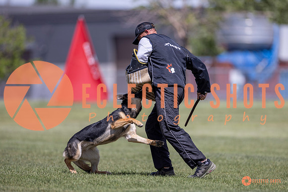 2025-K9Force-MayExams-8111