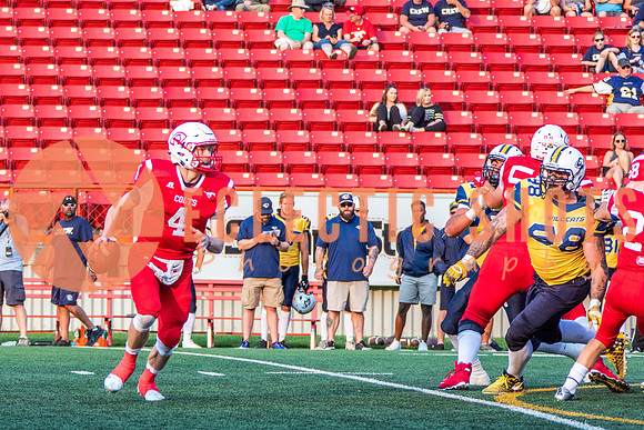 CalgaryColts-2584