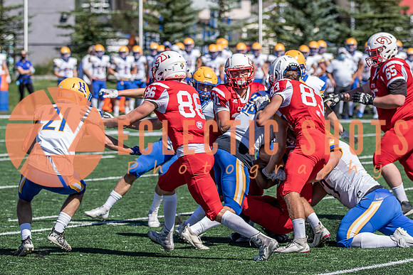 CalgaryColts2021-7367