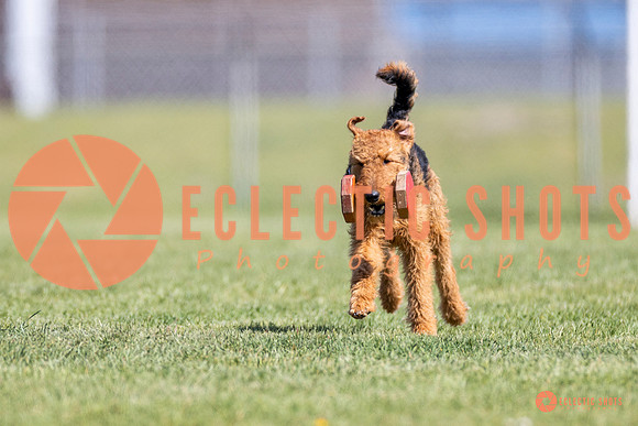 2025-K9Force-MayExams-8347