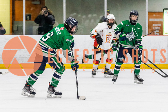 2022.11.09CalFlames-FVTBirds-0449