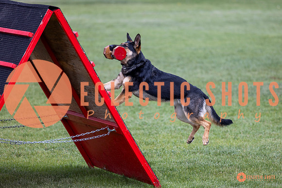 2025-K9Force-MayExams-6238