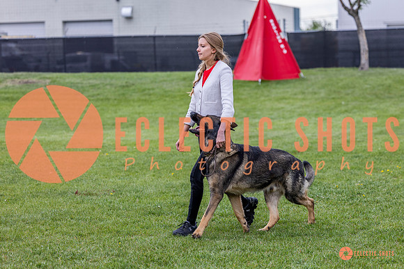 2025-K9Force-MayExams-5378