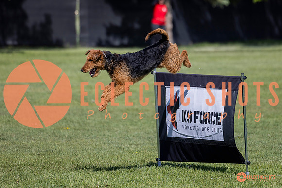 2025-K9Force-MayExams-7365