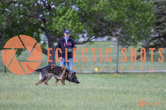 2025-K9Force-MayExams-Kaia-7458