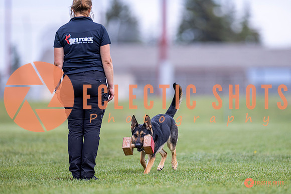 2025-K9Force-MayExams-7097