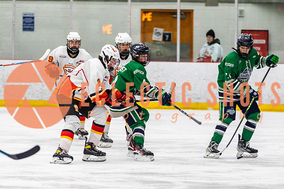 2022.11.09CalFlames-FVTBirds-0483