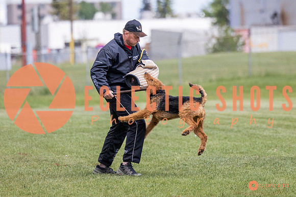 2025-K9Force-MayExams-7853