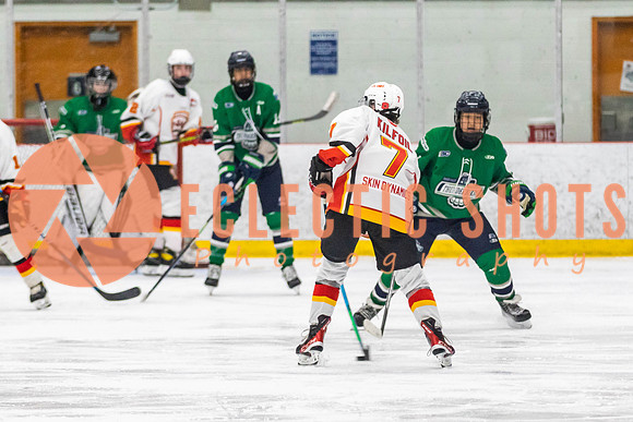 2022.11.09CalFlames-FVTBirds-0465