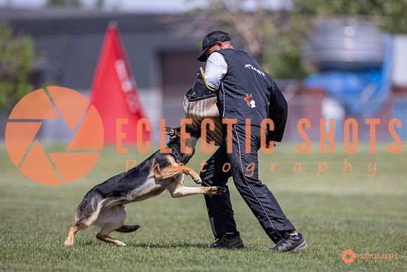2025-K9Force-MayExams-8110