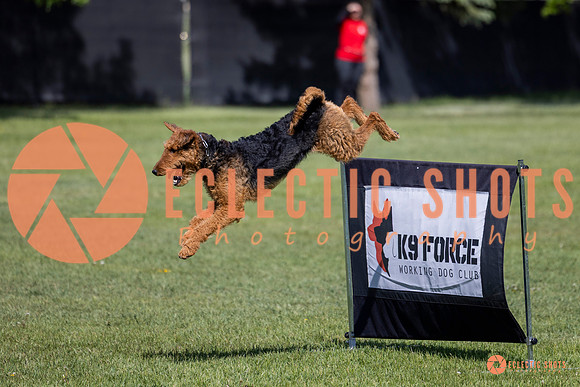 2025-K9Force-MayExams-7366