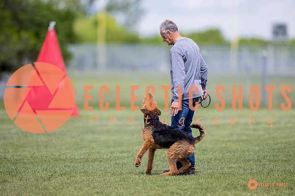 2025-K9Force-MayExams-8589