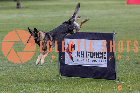 2025-K9Force-MayExams-5828