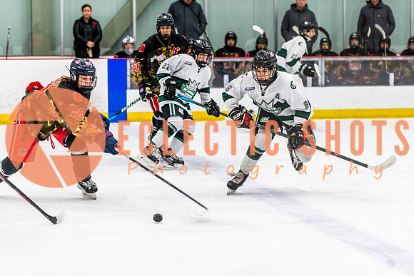2022.11.11ShPkFlyers-VWGiants-3227