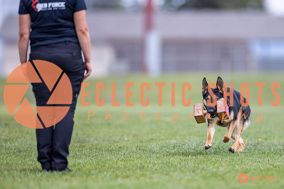 2025-K9Force-MayExams-7084