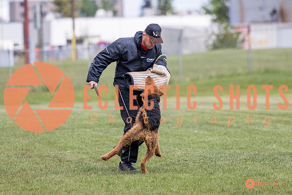 2025-K9Force-MayExams-7856