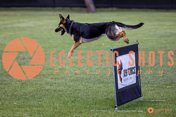 2025-K9Force-MayExams-6156