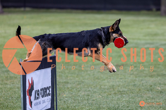 2025-K9Force-MayExams-6175