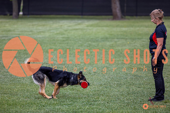 2025-K9Force-MayExams-6184
