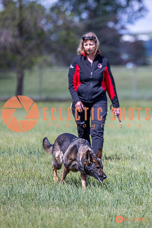 2025-K9Force-MayExams-Kaia-7498