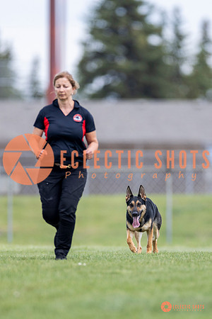 2025-K9Force-MayExams-7040