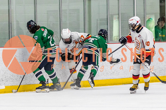 2022.11.09CalFlames-FVTBirds-0369