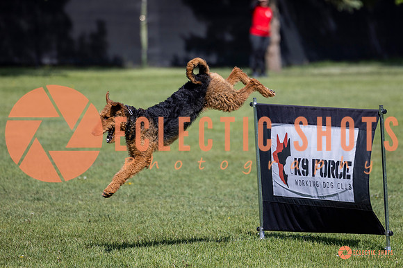 2025-K9Force-MayExams-7367