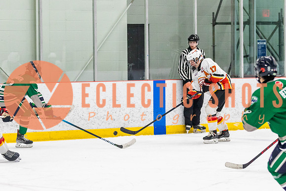2022.11.09CalFlames-FVTBirds-0416